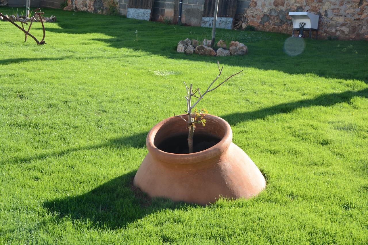 Casa Rural Aromas De La Manchuela Alborea Екстериор снимка